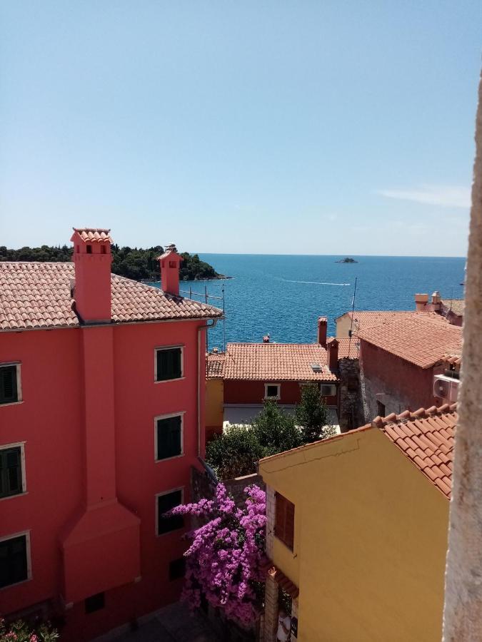 Casa Di Marko 105 M2 Garden Apartment Rovinj Exterior photo